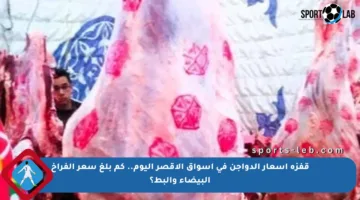 قفزة أسعار الدواجن في أسواق الأقصر اليوم.. كم بلغ سعر الفراخ البيضاء والبط؟